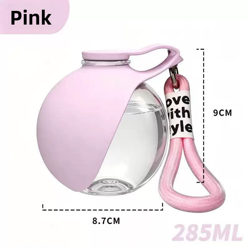 Silicone Stainless Steel Travel Water Bowl