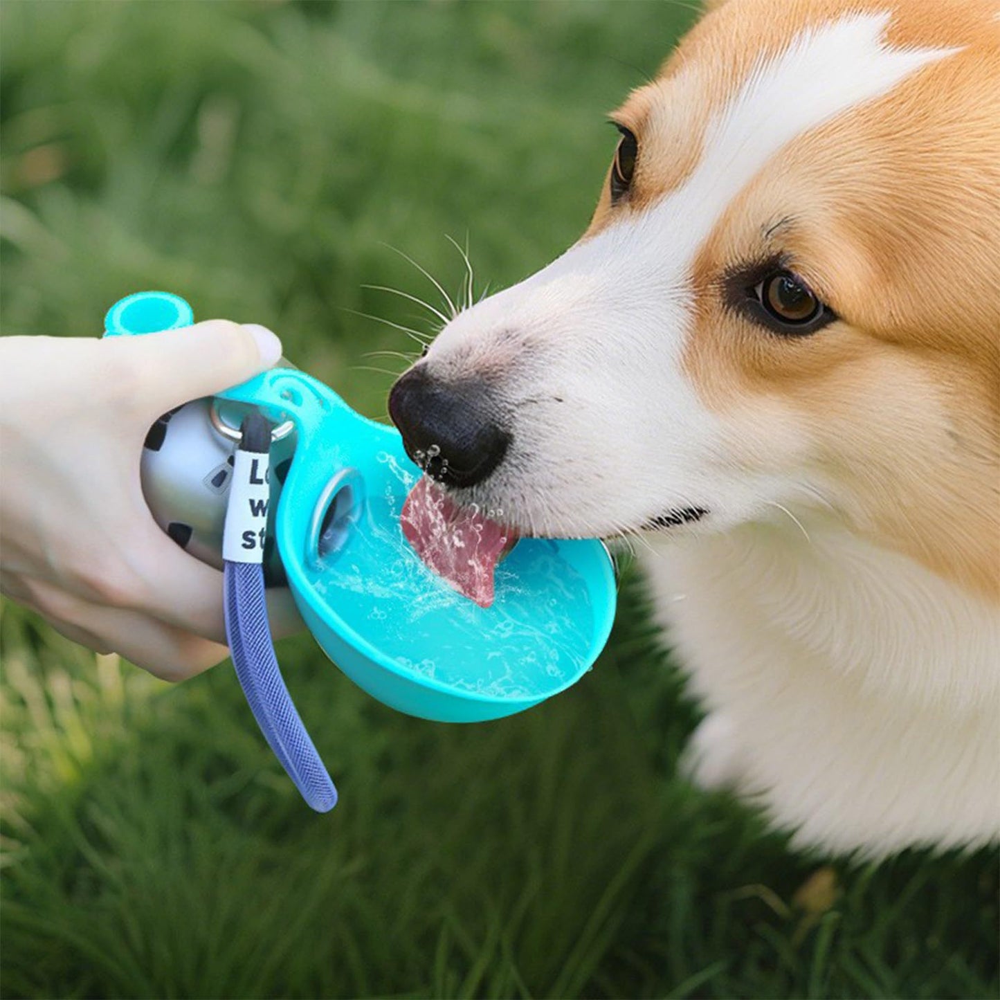 Silicone Stainless Steel Travel Water Bowl