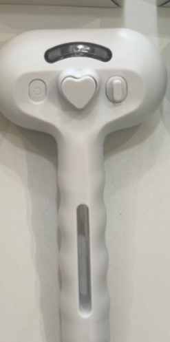 3-in-1 Self-Cleaning Steam Pet Brush